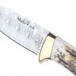 Нож с фиксированным клинком Colibri, чехол кожа, MUELA, Испания_00792070060799901259.jpg