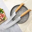 Набор кухонных ножей, 5 штук, на магнитной подставке ComposeEat, серия Ergo Line Olive, BERGER CUTLERY, Германия_00816080049266705962.jpg