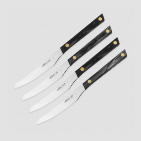 Набор столовых ножей для стейка 4 шт., 11 см, серия Steak Knives, ARCOS, Испания, Наборы кухонных ножей Arcos