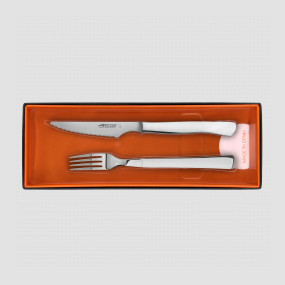 Набор столовых приборов для стейка на 6 персон, рукоять нержавеющая сталь, серия Steak Knives, ARCOS, Испания, ARCOS STEAK