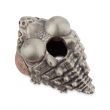 Бусина для темляка, EVIL SKULL, Россия_00819170037815213263.jpg