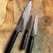 Нож кухонный поварской Шеф, 27 см, серия Shippu, TOJIRO, Япония_00812930055673643501.jpg