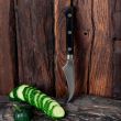 Нож кухонный овощной, 7 см, серия Western Knife, TOJIRO, Япония_00812930055190703186.jpg