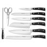 Набор из 6-ти кухонных ножей с мусатом и ножницами в деревянной подставке, серия Classic Ikon, WUESTHOF, Золинген, Германия_00803840066896136988.jpg