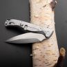 Нож складной Vendetta, 12,6 см, серия Daggerr Line, DAGGERR, Россия_00814480039661843396.jpg