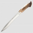 Нож с фиксированным клинком Chevreuil, чехол кожа, MUELA, Испания_00792080060826456955.jpg