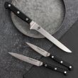 Набор кухонных ножей, 7 штук, на магнитной подставке ComposeEat, серия Classic Pro, BERGER CUTLERY, Германия_00816220051626922883.jpg