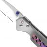 Нож складной Large Sebenza 21 Unique Graphics, 9,2 см, CHRIS REEVE, США_00811740048687532488.jpg