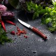Нож складной филейный №8, 8 см, OPINEL, Франция_00818590057931994060.jpg