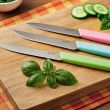 Нож кухонный для фруктов и овощей, 10 см, серия Salad, OKROSHKA, Россия_00821810070930263814.jpg