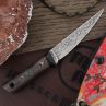 Нож с фиксированным клинком Сакура, 7 см, ВОЛЧИЙ ВЕК, Россия_00820200058749985680.jpg