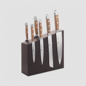 Набор из 6-ти кухонных ножей на подставке, серия Alpha Fasseiche, GUDE, Германия, GUDE (Германия)