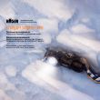 Фонарь светодиодный налобный, FENIX, Китай_00804490056736074707.jpg