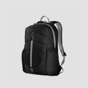 Рюкзак городской Engyz, объем: 21 л, размер: 46 х 33 х 20 см, цвет: черный, WENGER, Швейцария, WENGER (Швейцария)