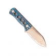 Нож шейный с фиксированным клинком Canary, 6,3 см, QSP KNIFE, Китай_00814400064158354454.jpg