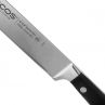 Нож кухонный филейный 21 см, серия Opera, ARCOS, Испания_00805450048974042210.jpg