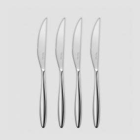 Набор из 4-х ножей для стейка, серия Hidcote Bright, ROBERT WELCH, Великобритания, Hidcote Bright ROBERT WELCH