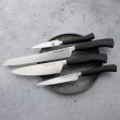 Набор кухонных ножей, 7 штук, на магнитной подставке ComposeEat, серия Ergo Line Pro, BERGER CUTLERY, Германия_00816110048065818341.jpg
