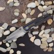 Нож складной Fin, 9,3 см, BESTECH KNIVES, Китай_00812670060842997981.jpg
