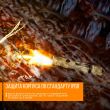 Фонарь светодиодный, FENIX, Китай_00804490046257826346.jpg