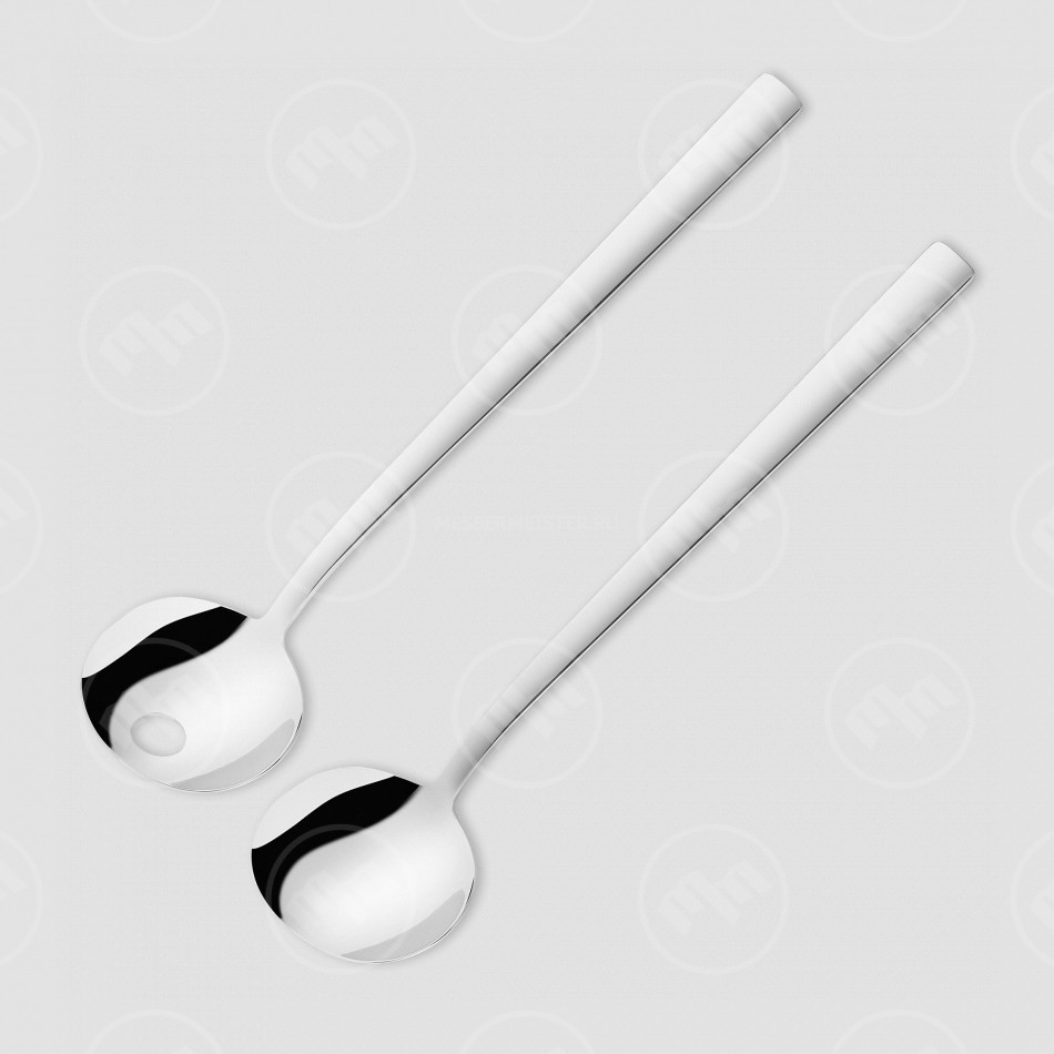 Набор из 2-х ложек для салата, 25 см, нержавеющая сталь 18/10, стальной, серия Dinner, ZWILLING J.A. HENCKELS, Германия