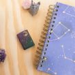 Зажигалка бензиновая Starry Sky, ZIPPO, США_00819180060070643845.jpg