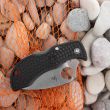 Нож складной Manbug Wharncliffe, 4,9 см, SPYDERCO, США_00805570042264757829.jpg