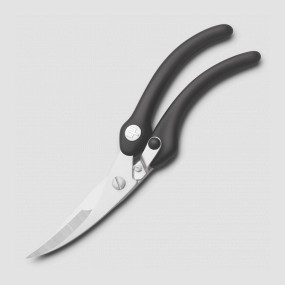 Ножницы для разделки птицы 26 см, нержавеющая сталь, серия Professional tools, WUESTHOF, Золинген, Германия, Ножницы кухонные