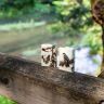 Зажигалка бензиновая Spazuk Design, ZIPPO, США_00819180060520288558.jpg