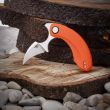 Нож складной Strelit, 5,6 см, BESTECH KNIVES, Китай_00812670062176408187.jpg