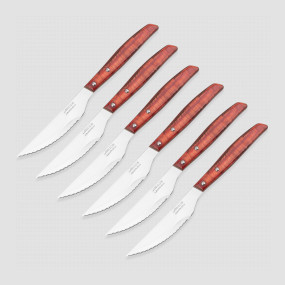 Набор столовых ножей для стейка, 6 штук, рукоять прессованное дерево, серия Steak Knives, ARCOS, Испания, Набор ножей 5 предметов