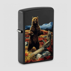 Зажигалка бензиновая Linda Picken, ZIPPO, США, ZIPPO (США)