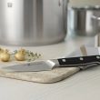 Нож кухонный для чистки овощей и фруктов 10 см, серия Pro, ZWILLING J.A. HENCKELS, Германия_00805080064964854005.jpg