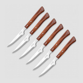 Набор столовых ножей для стейка 6 шт, серия Steak Knives, ARCOS, Испания, Набор ножей 5 предметов