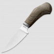Нож с фиксированным клинком Willy, 8 см, LionSteel, Италия_00816600048561858585.jpg