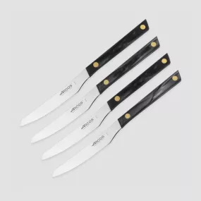 Набор столовых ножей для стейка 4 шт., 11 см, серия Steak Knives, ARCOS, Испания, Наборы кухонных ножей Arcos
