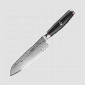 Нож кухонный Сантоку 16,5 см, Santoku, дамасская сталь, серия Ypsilon (193 слоя), YAXELL, Япония, YAXELL (Япония)