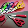 Ножницы кухонные 21 см, нержавеющая сталь, серия Professional tools, WUESTHOF, Золинген, Германия_00776660067791944487.jpg
