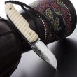Нож складной Chantha Bone Z, см 7,5, материал клинка: сталь Bohler N690, материал рукояти: кость зебры, CITADEL, Камбоджа_00797820064704962228.jpg