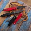 Нож складной Parrot 4.0, 11,8 см, серия Daggerr Line, DAGGERR, Россия_00814760055633978339.jpg