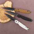Нож складной Parrot Nestor, 12 см, серия Daggerr Line, DAGGERR, Россия_00812890042253594608.jpg