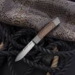 Нож складной BestMan, 7,1 см, LionSteel, Италия_00812990056996467704.jpg