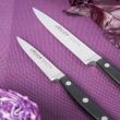 Набор кухонных ножей, 7 штук, на магнитной композитной подставке ComposeEat (венге), серия Opera, ARCOS, Испания_00815700038682678703.jpg