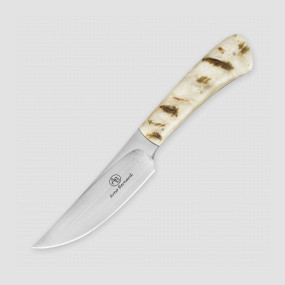 Нож с фиксированным клинком Springbok, 10.1 см, ARNO BERNARD, ЮАР, ARNO BERNARD (ЮАР)