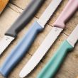 Нож кухонный для завтрака и томатов, 11 см, серия Boker, BOKER, Германия_00820940059634161175.jpg