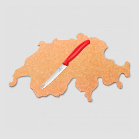 Набор из кухонного ножа для сыра и разделочной доски Swiss Map, VICTORINOX, Швейцария, Ножи для сыра